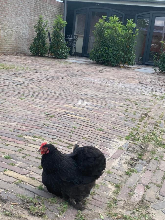 Appartamento Het Dijkje Utrecht Esterno foto